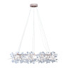 Подвесная светодиодная люстра Loft IT Heracleum 9022-243 - Подвесная светодиодная люстра Loft IT Heracleum 9022-243