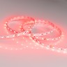 Лента RT 2-5000 24V Red 2x (5060, 300 LED, LUX) (Arlight, 14.4 Вт/м, IP20) - Лента RT 2-5000 24V Red 2x (5060, 300 LED, LUX) (Arlight, 14.4 Вт/м, IP20)
