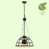 Подвесная люстра Lussole Loft Buffalo GRLSP-9994 - Подвесная люстра Lussole Loft Buffalo GRLSP-9994