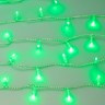 Светодиодная гирлянда ARD-STRING-CLASSIC-10000-CLEAR-95LED-LIVE RGBW-DMX (24V, 10W) (Ardecoled, IP65) - Светодиодная гирлянда ARD-STRING-CLASSIC-10000-CLEAR-95LED-LIVE RGBW-DMX (24V, 10W) (Ardecoled, IP65)