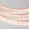 Лента RTW 2-5000PGS 12V Warm (3528, 300 LED, LUX) (Arlight, 4.8 Вт/м, IP67) - Лента RTW 2-5000PGS 12V Warm (3528, 300 LED, LUX) (Arlight, 4.8 Вт/м, IP67)