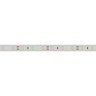 Лента RTW 2-5000PGS 12V Warm (3528, 300 LED, LUX) (Arlight, 4.8 Вт/м, IP67) - Лента RTW 2-5000PGS 12V Warm (3528, 300 LED, LUX) (Arlight, 4.8 Вт/м, IP67)