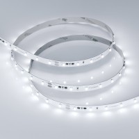  - Лента RT-10000 24V White5500 (3528, 60 LED/m, 10m) (Arlight, 4.8 Вт/м, IP20)