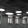 Подвесной светодиодный светильник Siled Ring 7370761 - Подвесной светодиодный светильник Siled Ring 7370761