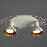 Спот Arte Lamp Focus A5219AP-2WG - Спот Arte Lamp Focus A5219AP-2WG