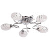 Потолочная люстра MW-Light Фиеста 267011705 - Потолочная люстра MW-Light Фиеста 267011705