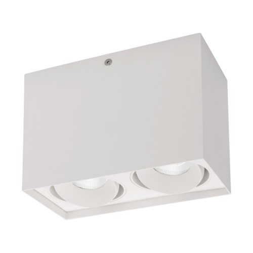 Светильник SP-CUBUS-S100x200-2x11W Warm3000 (WH, 40 deg, 230V) (Arlight, IP20 Металл, 3 года) Накладной интерьерный светильник. Мощность 2x11 Вт, св. поток 1660 лм, 75 лм/Вт, теплый 3000 K, CRI>90, угол 40°, регулируемое направление луча 30°, напряжение питания 230 В. Белый квадратный корпус из алюминия, степень защиты IP20. Размер: длина 100 мм, ширина 200 мм, высота 135 мм. Монтаж накладной. Драйвер 18-24 В, 500 мА (2 штуки), пульсация 