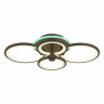Потолочная светодиодная люстра Evoled Leto SLE200372-04RGB - Потолочная светодиодная люстра Evoled Leto SLE200372-04RGB
