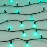 Светодиодная гирлянда ARD-STRING-CLASSIC-10000-BLACK-100LED-LIVE RGB-DMX (24V, 10W) (Ardecoled, IP65) - Светодиодная гирлянда ARD-STRING-CLASSIC-10000-BLACK-100LED-LIVE RGB-DMX (24V, 10W) (Ardecoled, IP65)