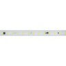 Лента герметичная ARL-PV-C72-15.5mm 230V Cool 10K (14 W/m, IP65, 5630, 50m) (Arlight, -) - Лента герметичная ARL-PV-C72-15.5mm 230V Cool 10K (14 W/m, IP65, 5630, 50m) (Arlight, -)
