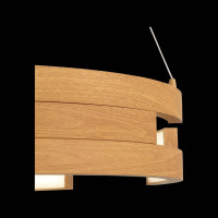  - Подвесной светодиодный светильник ST Luce Genuine SL963.703.01