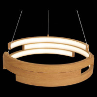  - Подвесной светодиодный светильник ST Luce Genuine SL963.703.01