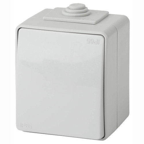 Переключатель одноклавишный ЭРА Эксперт 10AX 250V IP65 11-1603-03 Б0035975 