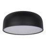 Потолочный светодиодный светильник Loft IT Axel 10201/480 Black - Потолочный светодиодный светильник Loft IT Axel 10201/480 Black
