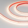 Лента RTW 2-5000PS-50m 24V Warm3000 2x (3528, 120 LED/m, LUX) (Arlight, 9.6 Вт/м, IP67) - Лента RTW 2-5000PS-50m 24V Warm3000 2x (3528, 120 LED/m, LUX) (Arlight, 9.6 Вт/м, IP67)