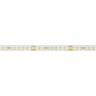 Лента RT-A192-10mm 24V Warm3500 (17.6 W/m, IP20, 2835, 5m) (Arlight, высок.эфф.150 лм/Вт) - Лента RT-A192-10mm 24V Warm3500 (17.6 W/m, IP20, 2835, 5m) (Arlight, высок.эфф.150 лм/Вт)