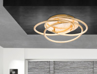  - Потолочный светодиодный светильник Globo Barna 67828-30G