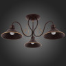 Потолочная люстра Evoluce Ciolla SLE120402-03 - Потолочная люстра Evoluce Ciolla SLE120402-03