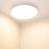 Светильник CL-FRISBEE-DIM-R250-12W Day4000-MIX (WH, 180 deg, 230V) (Arlight, IP54 Пластик, 3 года) - Светильник CL-FRISBEE-DIM-R250-12W Day4000-MIX (WH, 180 deg, 230V) (Arlight, IP54 Пластик, 3 года)