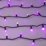 Светодиодная гирлянда ARD-STRING-CLASSIC-10000-BLACK-100LED-MILK-LIVE RGB-DMX (24V, 10W) (Ardecoled, IP65) - Светодиодная гирлянда ARD-STRING-CLASSIC-10000-BLACK-100LED-MILK-LIVE RGB-DMX (24V, 10W) (Ardecoled, IP65)