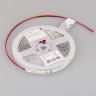 Лента RT-A120-8mm 24V Gold (9.6 W/m, IP20, 2835, 5m) (Arlight, -) - Лента RT-A120-8mm 24V Gold (9.6 W/m, IP20, 2835, 5m) (Arlight, -)