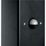 Уличный светильник Feron Берлин DH0207 11683 - Уличный светильник Feron Берлин DH0207 11683