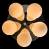 Потолочная люстра Arte Lamp Moon A4445PL-5CC - Потолочная люстра Arte Lamp Moon A4445PL-5CC