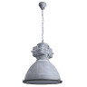 Подвесной светильник Arte Lamp Loft A5014SP-1BG - Подвесной светильник Arte Lamp Loft A5014SP-1BG