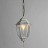 Уличный подвесной светильник Arte Lamp Pegasus A3151SO-1WG - Уличный подвесной светильник Arte Lamp Pegasus A3151SO-1WG