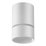 Потолочный светильник Novotech Elina 370732 - Потолочный светильник Novotech Elina 370732