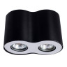Потолочный светильник Arte Lamp Falcon A5633PL-2BK - Потолочный светильник Arte Lamp Falcon A5633PL-2BK