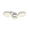 Потолочная светодиодная люстра Zumaline Colten CL15008A-3CLA - Потолочная светодиодная люстра Zumaline Colten CL15008A-3CLA