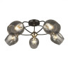 Потолочная люстра Seven Fires Klimin SF3319/5C-CF-FGD - Потолочная люстра Seven Fires Klimin SF3319/5C-CF-FGD