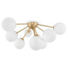 Потолочный светильник Freya FR5120CL-09G - Потолочный светильник Freya FR5120CL-09G