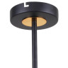 Потолочная люстра F-Promo Viator 2558-8P - Потолочная люстра F-Promo Viator 2558-8P