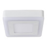 Потолочный светодиодный светильник Arte Lamp Altair A7709PL-2WH - Потолочный светодиодный светильник Arte Lamp Altair A7709PL-2WH
