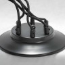Подвесная люстра Lussole Lgo Shirley LSP-8172 - Подвесная люстра Lussole Lgo Shirley LSP-8172