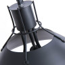 Подвесная люстра Arte Lamp A9347SP-3BK - Подвесная люстра Arte Lamp A9347SP-3BK