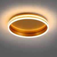  - Потолочный светодиодный светильник Feron Shinning ring AL5880 41694