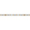 Лента RT 2-5000 24V Warm3000 2x (5060, 300 LED, CRI98) (Arlight, 14.4 Вт/м, IP20) - Лента RT 2-5000 24V Warm3000 2x (5060, 300 LED, CRI98) (Arlight, 14.4 Вт/м, IP20)