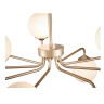 Подвесная люстра ST Luce Redjino SLE106203-09 - Подвесная люстра ST Luce Redjino SLE106203-09