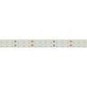 Лента RT 2-5000 24V Warm2700 2x2 (2835, 980 LED, LUX) (Arlight, 20 Вт/м, IP20) - Лента RT 2-5000 24V Warm2700 2x2 (2835, 980 LED, LUX) (Arlight, 20 Вт/м, IP20)
