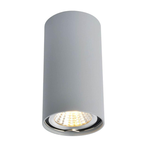 Потолочный светильник Arte Lamp A1516PL-1GY 