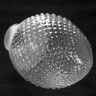 Потолочная люстра Lussole Anaheim LSP-8027 - Потолочная люстра Lussole Anaheim LSP-8027