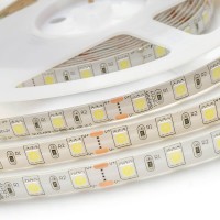  - Светодиодная влагозащищенная лента Apeyron 14,4W/m 60Led/m 5050SMD холодный белый 1M 259BL