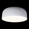 Потолочный светодиодный светильник Loft IT Axel 10201/480 White - Потолочный светодиодный светильник Loft IT Axel 10201/480 White