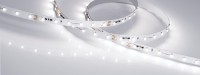  - Лента RT-20000 24V White6000 (3528, 60 LED/m, 20m) (Arlight, 4.8 Вт/м, IP20)