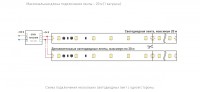  - Лента RT-20000 24V White6000 (3528, 60 LED/m, 20m) (Arlight, 4.8 Вт/м, IP20)