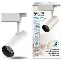  - Трековый светодиодный светильник Gauss Track Light Led TR079