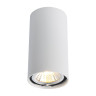 Потолочный светильник Arte Lamp A1516PL-1WH - Потолочный светильник Arte Lamp A1516PL-1WH